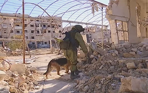 Zapadores rusos limpian de explosivos a ciudad siria de Alepo Zapadores rusos limpian de explosivos a ciudad siria de Alepo
